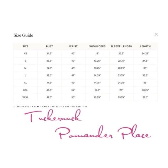 Tuckernuck Pomander Place Chambray Babydoll Top Sz.S - Picture 12 of 12